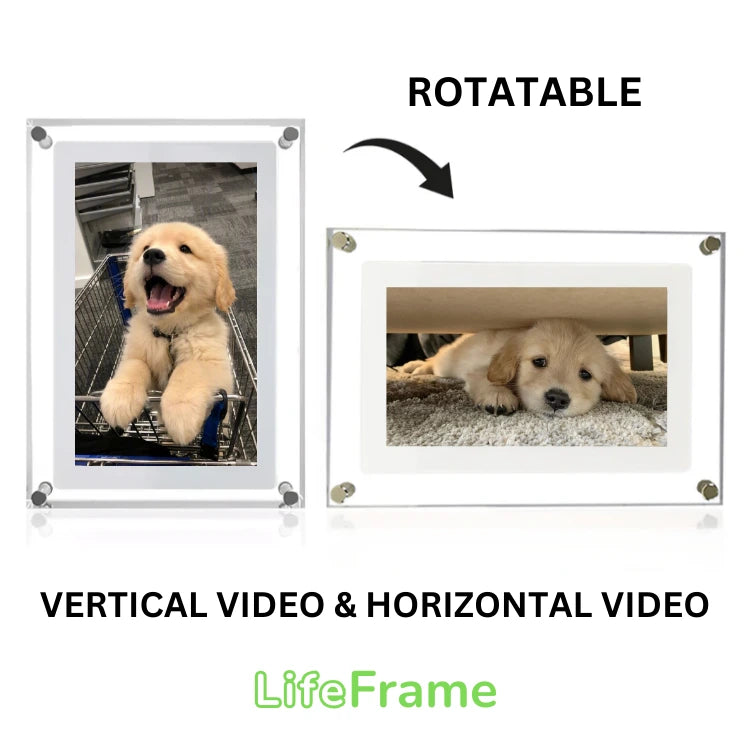 LifeFrame™ Digital Video Frame