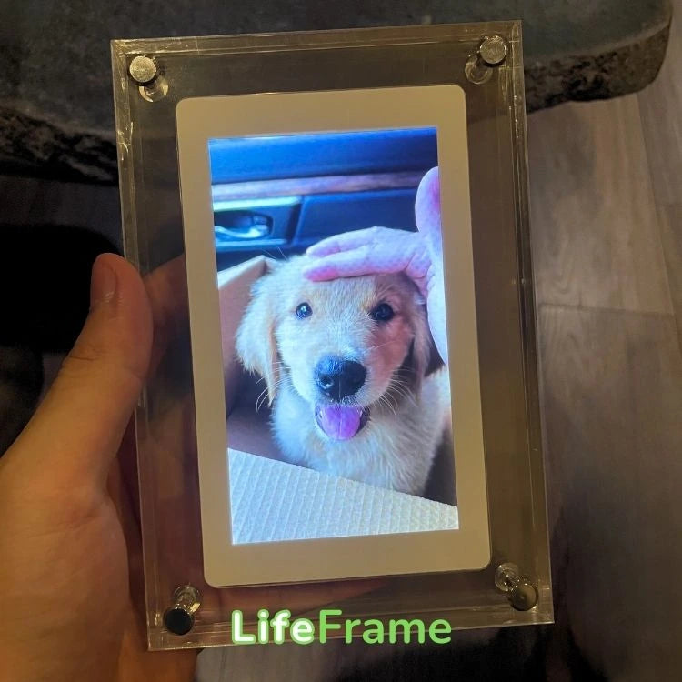 LifeFrame™ Digital Video Frame