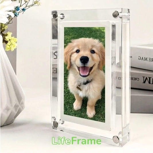 LifeFrame™ Digital Video Frame